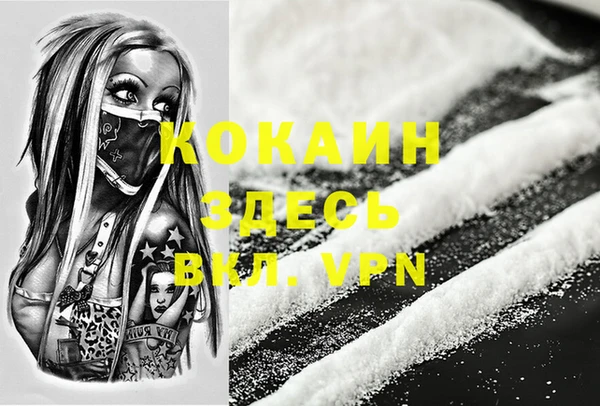 spice Алексин