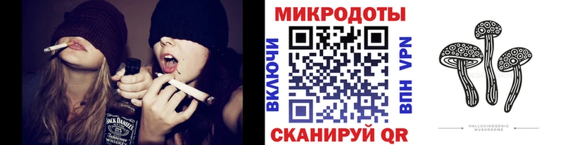 Галлюциногенные грибы Psilocybe  Южно-Сахалинск 