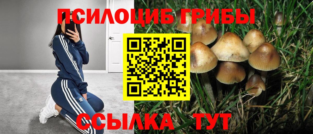 Галлюциногенные грибы прущие грибы Южно-Сахалинск